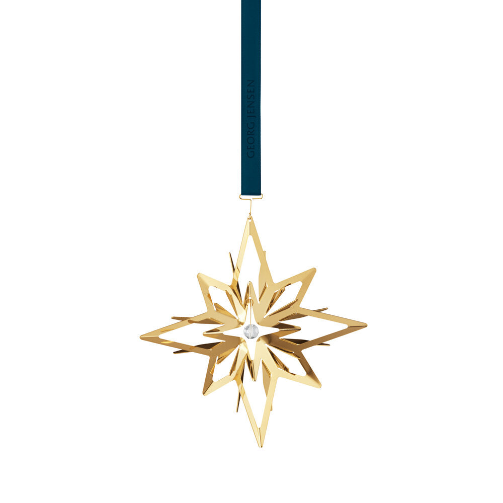 2024 juleuro med Stjerne - forgyldt